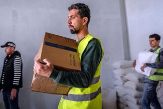 Gaza’s food gains could unravel without sustained aid, UN warns
