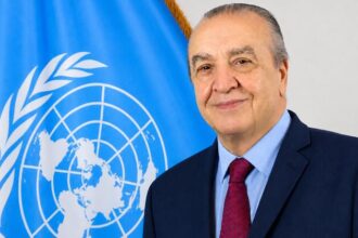 World News in Brief: New ECOSOC chief, Secretary-General candidates’ debate, torture in Mali, drowning prevention
