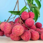 Why Italy Loves Litchi From Dehradun?