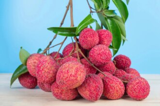 Why Italy Loves Litchi From Dehradun?