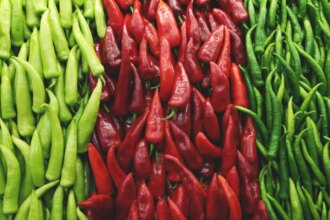 How Chillies Became Important To Indian Cuisine, Even Though They Arent Indian
