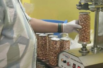 Bihar Exports 7 Metric Tonnes Of Makhana To Canada, What Makes It Stand Out?