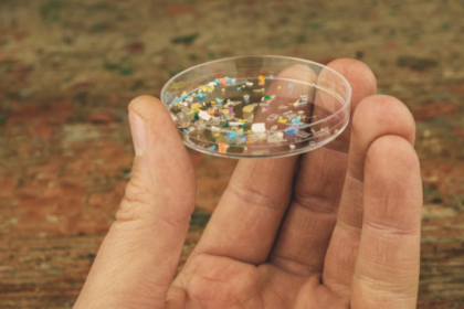 What Happens When Microplastics Enter The Human Body? How To Avoid Them
