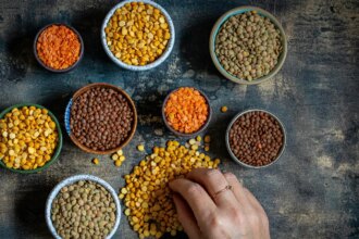 Which Dal Has The Highest Protein?