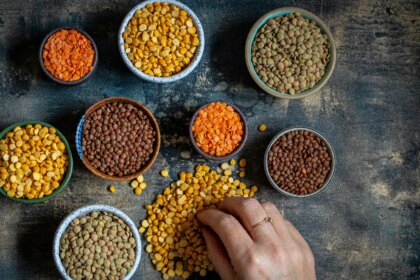 Which Dal Has The Highest Protein?