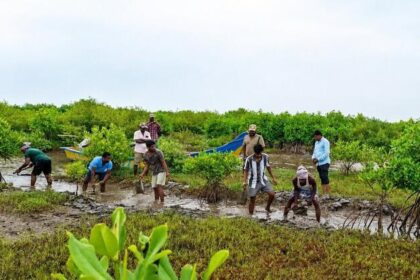 Africans bear the brunt of biodiversity loss