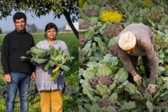 How A Health Scare Made This Delhi Couple Build A 15-Acre Organic Farming Business
