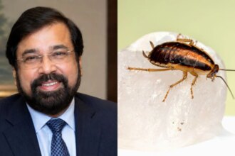 Need Cockroaches Per Square Foot Limit? Harsh Goenka Reacts To Bombay High Courts Food Licence Remark