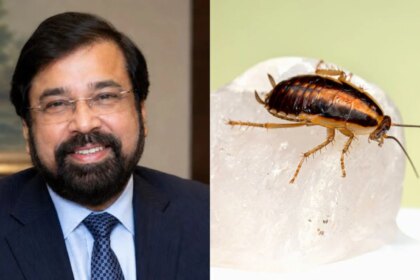 Need Cockroaches Per Square Foot Limit? Harsh Goenka Reacts To Bombay High Courts Food Licence Remark