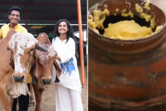 How A Jaipur Couple Turned 100 Gir Cows Into A Rs 2.4 Crore Organic Farm