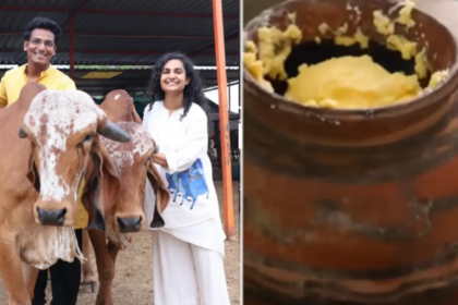 How A Jaipur Couple Turned 100 Gir Cows Into A Rs 2.4 Crore Organic Farm