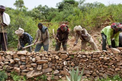 Protecting our ‘most vital infrastructure’: Pushing back on desertification