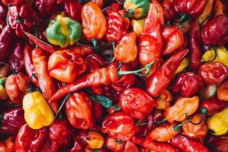The Hottest Chilli In India Once Held A Guinness World Record