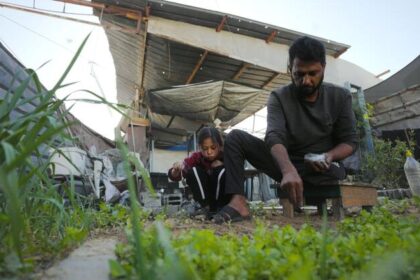 Gaza: Only three per cent of cropland available to grow food