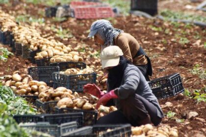 As wars spread, the global food system unravels