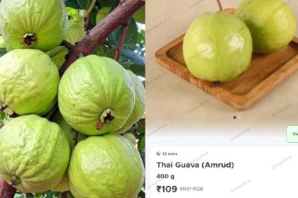 X User Compares Online Grocery Prices With Local Vendors, Difference Surprises Internet Users