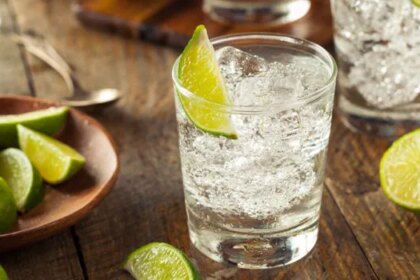 Best Gin Brands That Promise To Delight Your Senses - NDTV Foods Recommendations