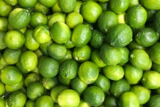 This Indian Town Is Known As The Land Of Lemons. Its Famous Citrus Dates Back More Than A Century