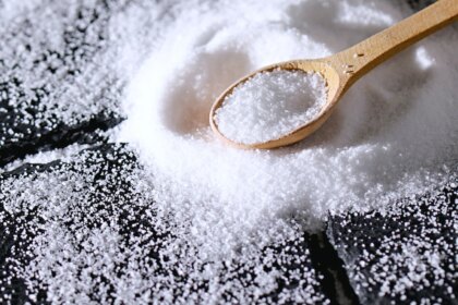 Which State Is Known As The Salt Capital Of India?