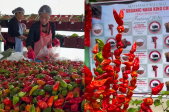 This GI-Tagged Chilli Is So Hot, Nagaland Minister Temjen Imna Along Says You Will Always Lose