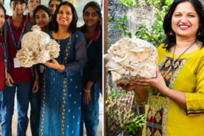 How Maharashtra Professor Left Job And Turned 20 Mushroom Beds Into Rs 4 Lakh/Month Venture