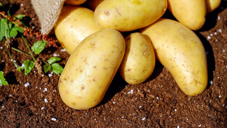 These Simple Habits Can Stop Potatoes From Sprouting Early And Last Longer