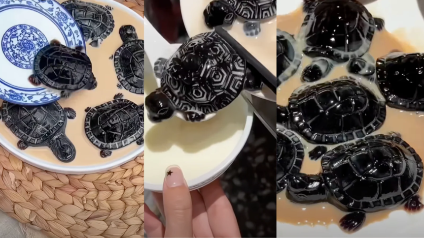 Move Over Boba, This Turtle-Shaped Chinese Herbal Jelly Is The New Food Craze