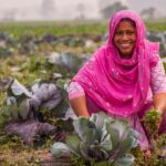 Why climate action now comes down to speed, finance and cooperation