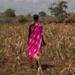 How El Niño offers a test of whether the world can adapt to a changing climate