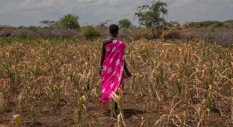 How El Niño offers a test of whether the world can adapt to a changing climate