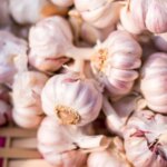 Which Place Is Known As The Garlic City Of India?