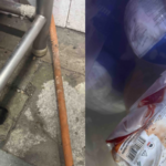Cockroaches, Blood-Stained Fridges Found At Mumbais Gallops, Licence Suspended
