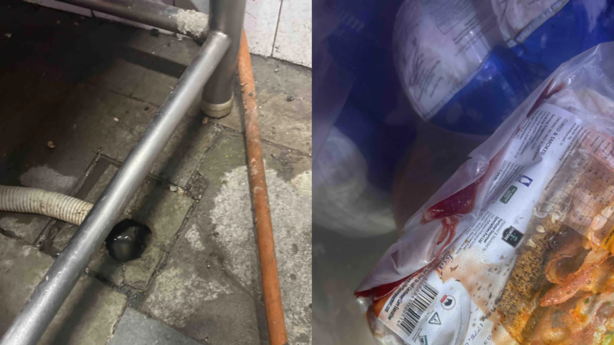 Cockroaches, Blood-Stained Fridges Found At Mumbais Gallops, Licence Suspended