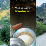 This Kashmir Village Stores Milk For 20 Days Without A Refrigerator Or Electricity