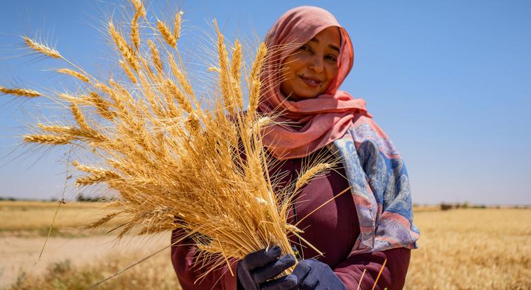 Sudan’s farmers are ready to return – private investment could get them there