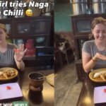 Video: British Creator Tries Nagalands King Chilli, Calls It "A Punch In The Face"