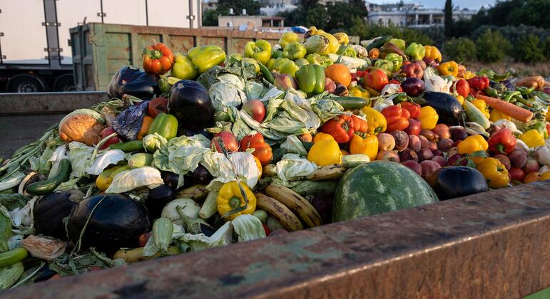 Clean your plate – to reduce food loss and waste