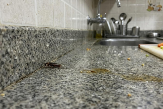 Skip Chemical Sprays, Get Rid Of Cockroaches Naturally With Common Kitchen Ingredients