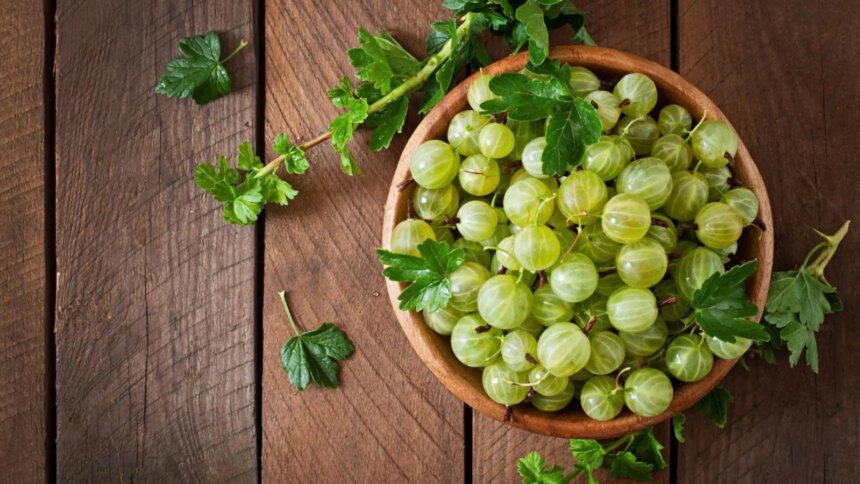 Which City Is Known As The Amla Capital Of India?
