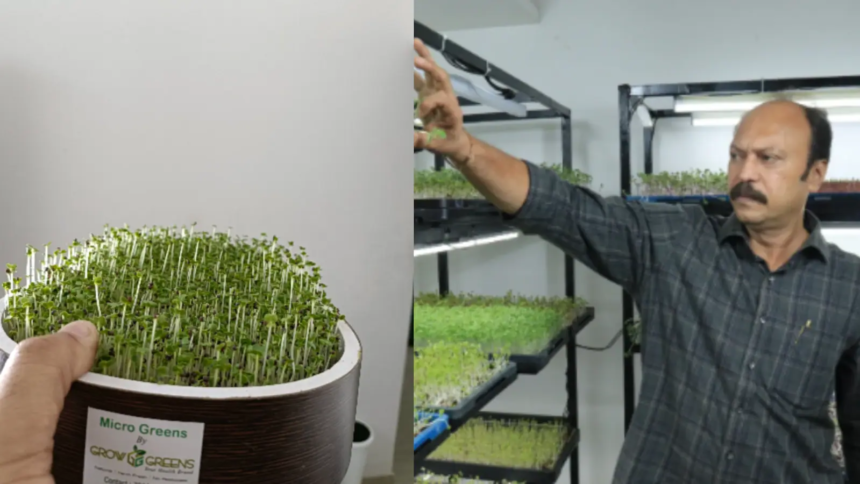 This Banker Quit His Job To Grow Microgreens, Turned It Into A Rs 5 Lakh Monthly Business