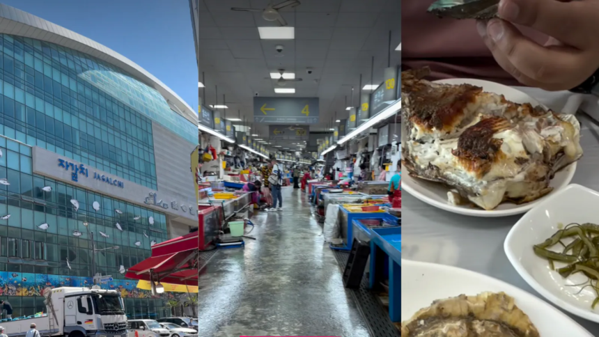 Busans Famous Fish Market Has No Menu: Pick Live Seafood, Then Eat It Fresh