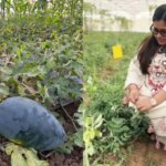 MBA Graduate Transforms 10 Acres Of Rocky, Barren Land Into ₹25 Lakh-A-Year Organic Farm