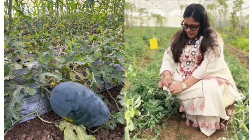 MBA Graduate Transforms 10 Acres Of Rocky, Barren Land Into ₹25 Lakh-A-Year Organic Farm
