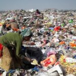 Rotting food waste emits 5 times more greenhouse gases than planes