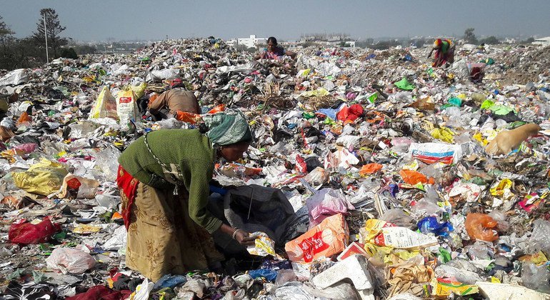 Rotting food waste emits 5 times more greenhouse gases than planes
