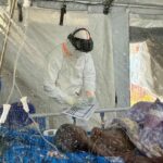 ‘Ebola takes the people children depend on’: UNICEF