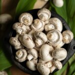 Which City Is Known As The Mushroom Capital Of India?