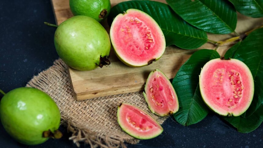 Which City Is Known As The Guava Capital Of India?