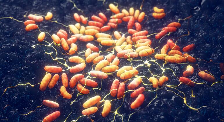 ‘No plague case’ in Siberia, Russia tells WHO as assessments continue