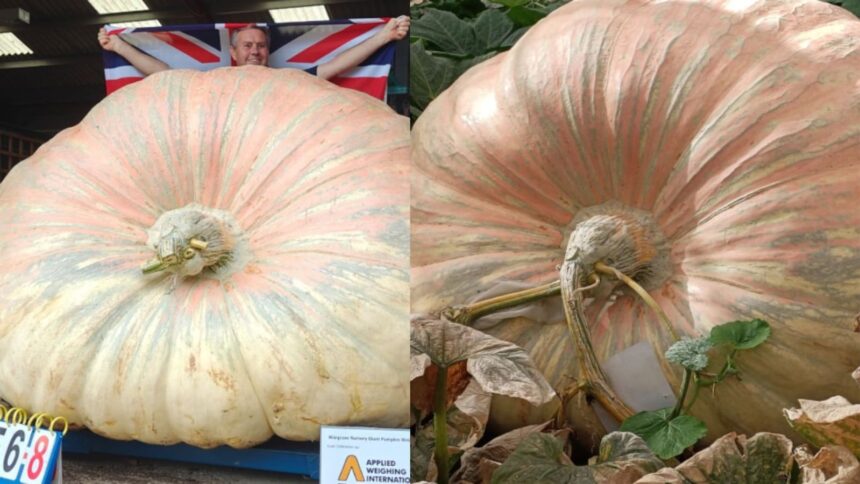 Worlds Heaviest Pumpkin Weighs 1,295 Kg, More Than A White Rhino